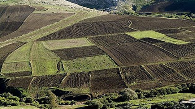 Attribution des terres agricoles domaniales : Les explications du ministère de l'Agricole et celui des Domaines de l'Etat