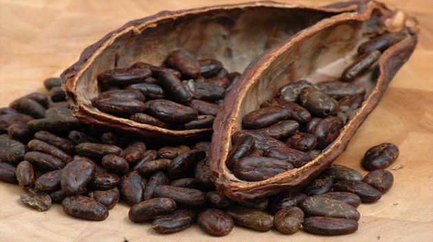 Le chocolat va-t-il manquer ?