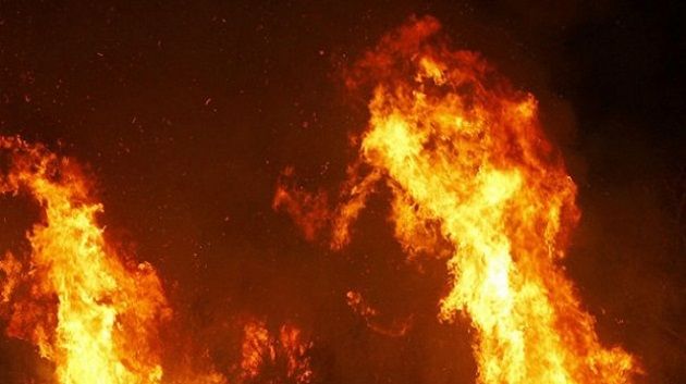 Médenine : Un incendie ravage 2 hectares de terres sans faire de victime
