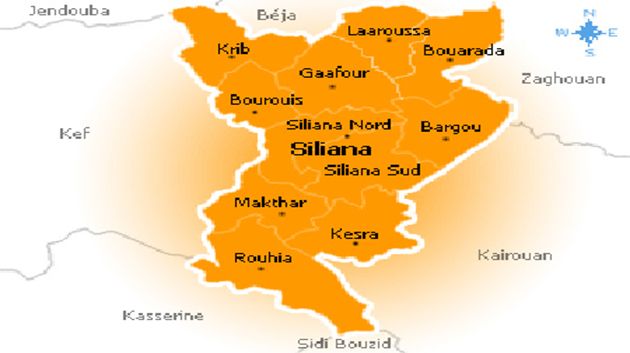 Qui est Nourredine Ghannouchi, nouveau gouverneur de Siliana ?