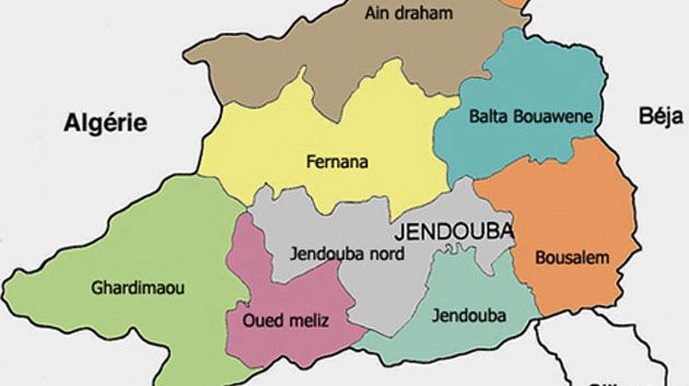 Jendouba : Décès d'un jeune homme de la rage