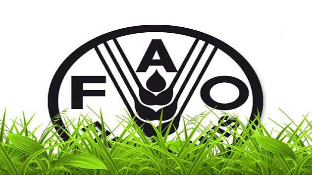 La FAO tient son 28ème congrès à Tunis