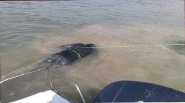 Monastir : Le corps du pêcheur disparu a été retrouvé