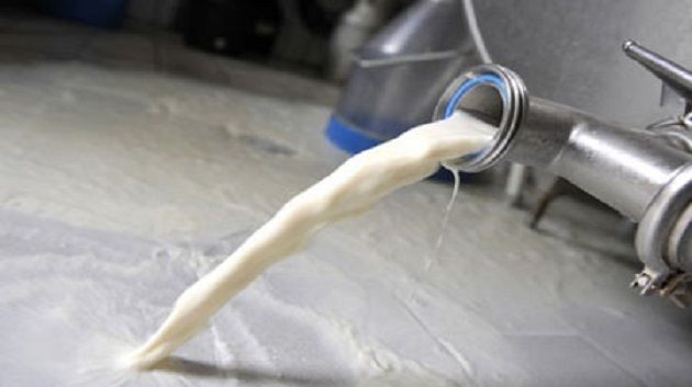 Sfax : 10 millions de litres de lait jetés