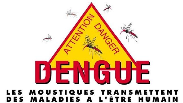 Mondial 2014: Une épidémie de dengue risque d’apparaître dans le nord-est du Brésil