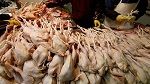 Le ministère du Commerce met en garde contre l'exportation illégale des produits de volailles 
