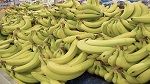 Ennfidha : Interception d'un camion chargé d'une quantité de banane de contrebande