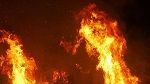 Médenine : Un incendie ravage 2 hectares de terres sans faire de victime 