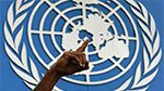 ONU : La République Centrafricaine est victime d’un nettoyage ethnique anti-musulmans