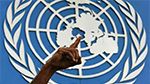 ONU : La République Centrafricaine est victime d’un nettoyage ethnique anti-musulmans