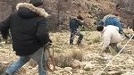 Mont Chaambi : La STEG réorganise la distribution de l'électricité sous escorte militaire