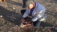 Hammamet : Découverte d'un cimetière romain