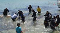 Monastir : Campagne de propreté des plages du vieux port