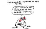 Caricature du 07-05-2014