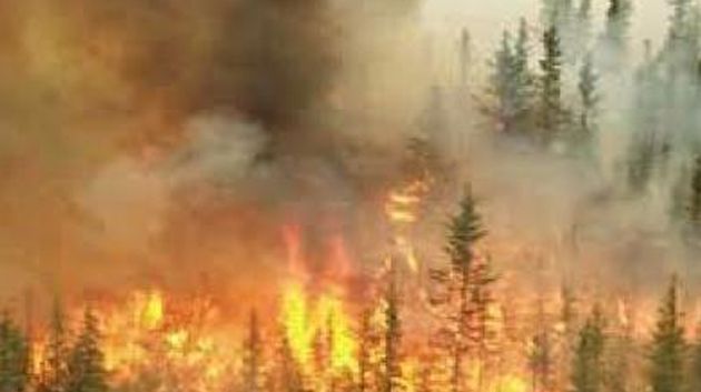 Kairouan : 3 hectares de champ de blé détruits par le feu