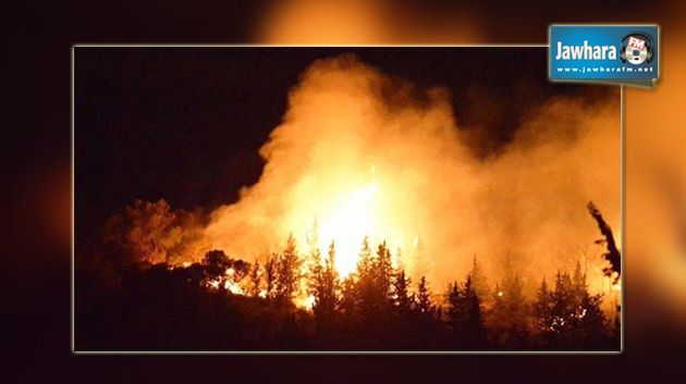 Ministère de l’Equipement : Le projet turc n’a rien à voir avec l’incendie au parc d’Ennahli