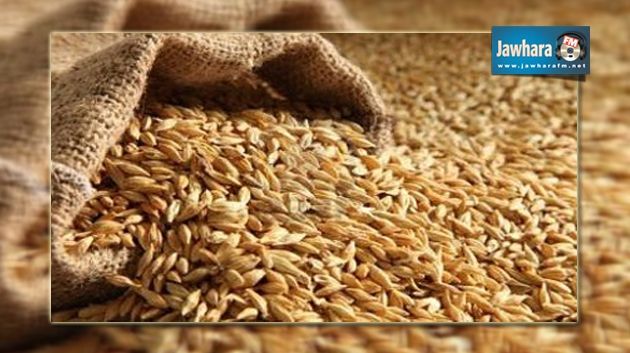 Le ministère de l’agriculture décide de reporter l’augmentation du prix de l'orge fourragère