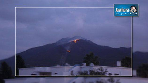 Un gigantesque incendie à Djebel Boukornine