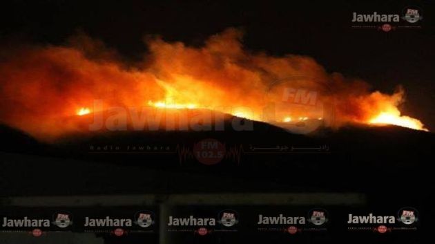 Djebel Boukornine en feu