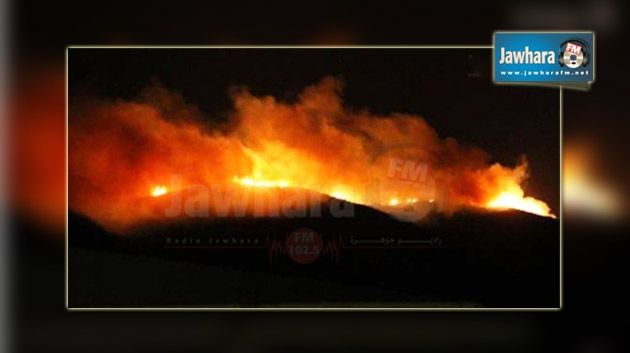 Le feu dévore 10 hectares au Mont Boukornine