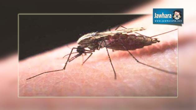 Ministère de la Santé : Deux hôtesses de l'air souffrent du paludisme