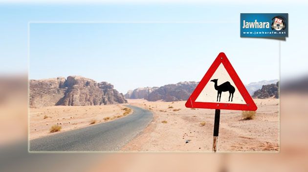Nefta : Un cadre à la douane décédé et 3 autres blessés