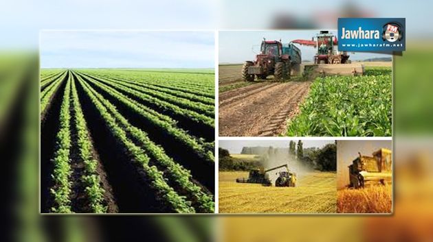 Ministère de l’agriculture : 50 millions de dinars de perte à cause du climat