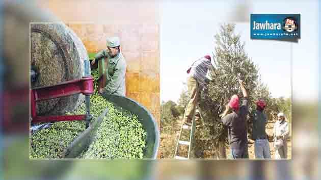 Sousse : Abondance de la récolte des céréales