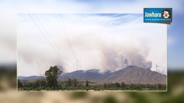 Bombardements intensifs au Châambi et Selloum