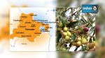 Monastir : La récolte d’olive 17 fois supérieure à celle de la saison précédente