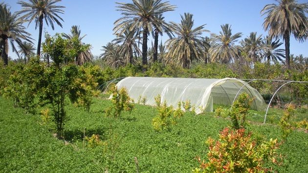 Colloque SICMED : Pour une gestion raisonnée de l’eau et des sols