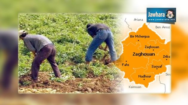 Zaghouan : Dettes annulées pour 202 agriculteurs