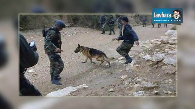 Tunisie : Le terroriste Saber Mtiri éliminé