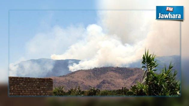 Reprise du bombardement des abris des terroristes dans les montagnes ouest de Kasserine