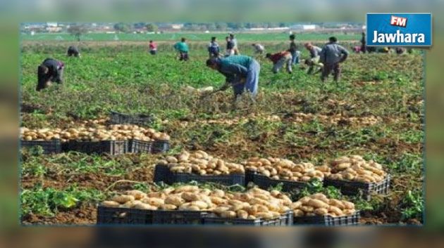 Houcine Abbassi : Vers la diminution du taux de chômage dans le secteur agricole