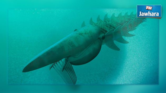 Un monstre marin, disparu depuis 480 millions d’années, découvert