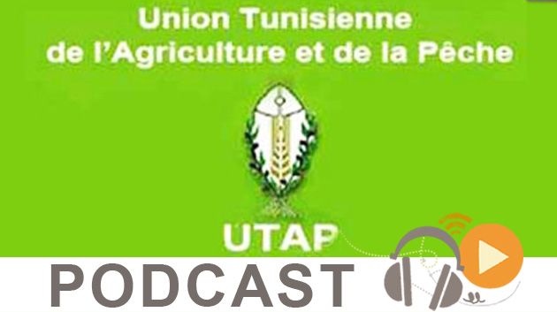 Journal Info 19h00 du 14-03-2015