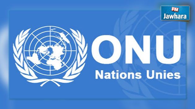 ONU : Les djihadistes étrangers en Syrie, Irak et Libye sont en majorité européens