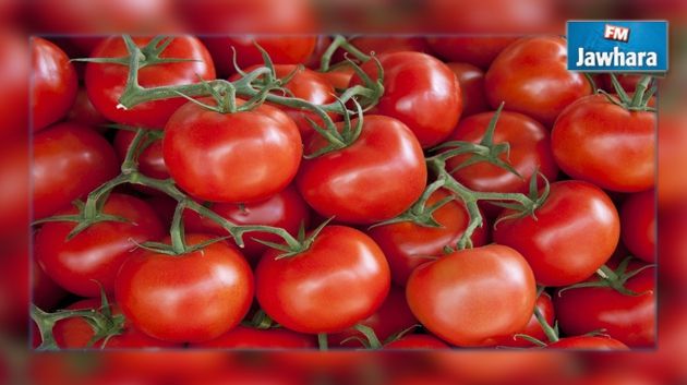 Sousse : Echec d’une tentative d’exportation de 6 tonnes de tomates vers la Libye