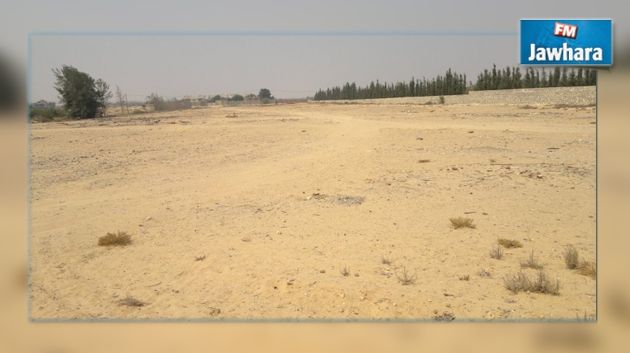 Monastir : 950 hectares de terrain agricole étatiques non exploités 