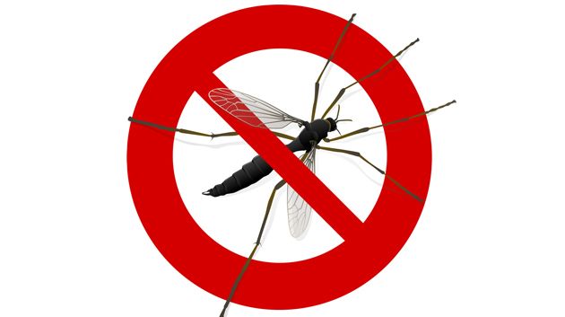 Chronique : Pourquoi ironiser sur l’idée d’une agence anti-moustiques ?