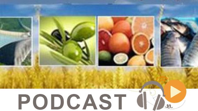 Journal Info 12h00 du 10-05-2015