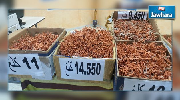 Tabarka : Saisie de 72 kg de corail