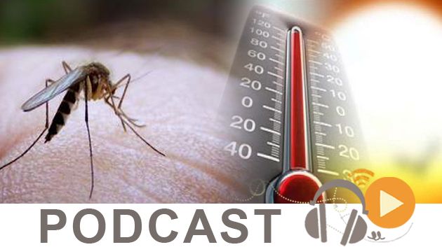 Dialogue du lundi 18 mai 2015