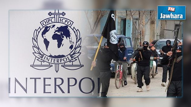 Interpol identifie 4.000 djihadistes étrangers