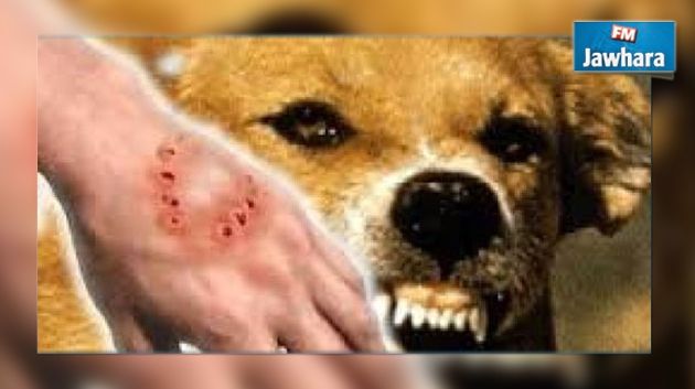 Bizerte : Un jeune homme meurt de la rage
