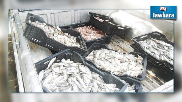 Mahdia : Saisie de 250 kg de poisson