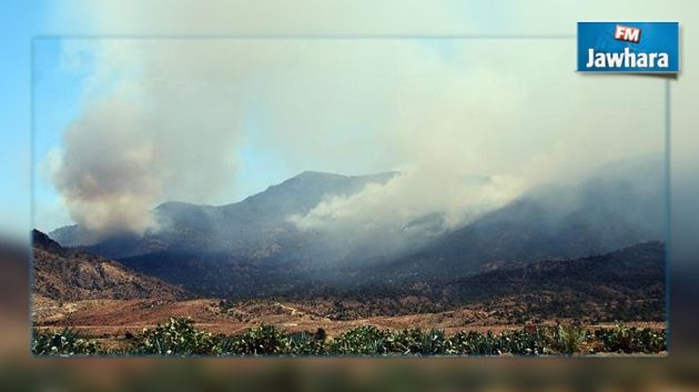 Bombardement à l'artillerie sur les hauteurs de Sakiet Sidi Youssef