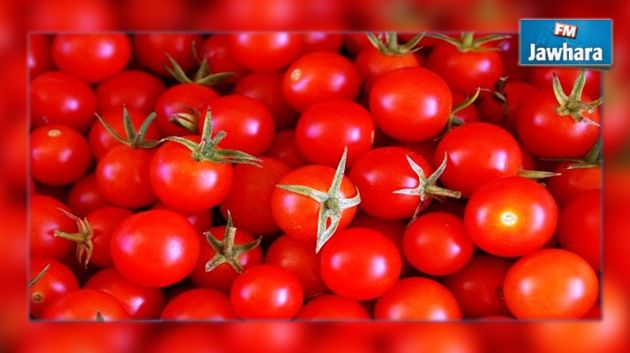 Tension à Kairouan après la fermeture d'une usine de tomates