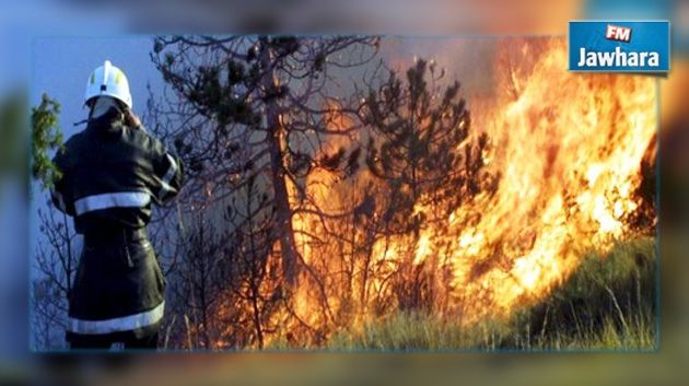 Nabeul : Incendie au mont Sidi Abderrahmen